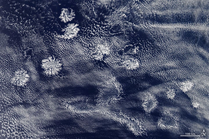 Aqua—MODIS satellite image of Actinoform clouds off the western coast of Australia